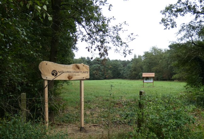 The sign, in the nature