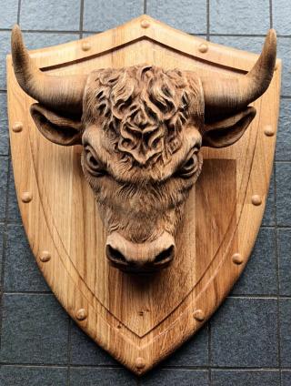 The ox hunting trophy, front view