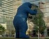 Denver Bear