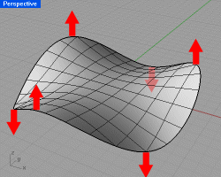 Rhino screenshot of a three-sided enneper