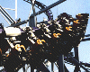 Roller coaster