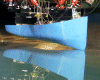 Towing tank ship