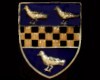 Coat of Arms ring